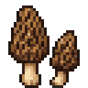 Morels